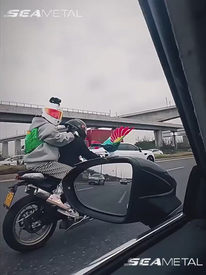 Moving Wind Swinging Bird Wings